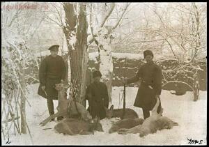 Типы казаков. Сибирские казаки на службе и дома. 1911 год - 5c0a8ff50323.jpg