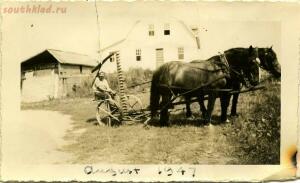 Повседневная жизнь Свято-Троицкого монастыря 1946-1948 гг. - 4b97c2f66c2a.jpg