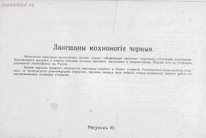 Альбом хозяйственных пород домашней птицы. Настольная книга птицевода 1905 год - 7255058db0c1.jpg