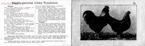 Альбом хозяйственных пород домашней птицы. Настольная книга птицевода 1905 год - a071d7003b61.jpg