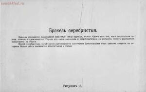 Альбом хозяйственных пород домашней птицы. Настольная книга птицевода 1905 год - 89a71172d151.jpg