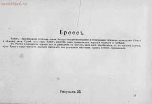 Альбом хозяйственных пород домашней птицы. Настольная книга птицевода 1905 год - 864eeef2511b.jpg