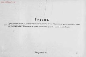 Альбом хозяйственных пород домашней птицы. Настольная книга птицевода 1905 год - 68095d7a345b.jpg