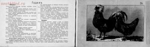 Альбом хозяйственных пород домашней птицы. Настольная книга птицевода 1905 год - 9ba5d0280f35.jpg