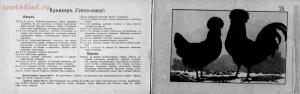 Альбом хозяйственных пород домашней птицы. Настольная книга птицевода 1905 год - 91cac3cf0c79.jpg