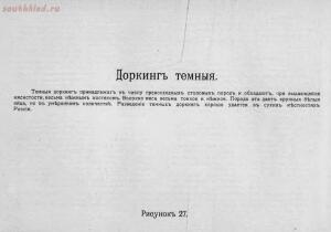 Альбом хозяйственных пород домашней птицы. Настольная книга птицевода 1905 год - 81b49b541ca2.jpg