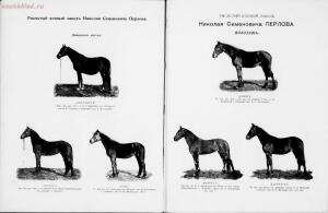 Иллюстрированный альбом рысистого и скакового спорта и перечень русских конных заводов 1905 год - 01003734089_011.jpg