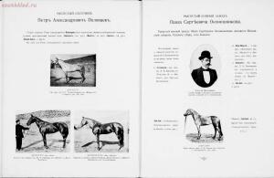 Иллюстрированный альбом рысистого и скакового спорта и перечень русских конных заводов 1905 год - 01003734089_025.jpg