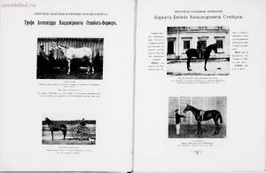 Иллюстрированный альбом рысистого и скакового спорта и перечень русских конных заводов 1905 год - 01003734089_080.jpg