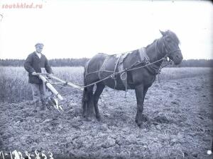 Эсты деревни Елизаветино на снимках Александра Антоновича Беликова 1926 год - 937454dec8f3.jpg