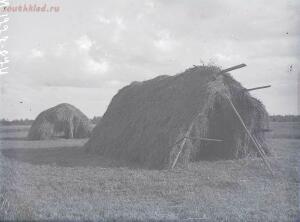 Эсты деревни Елизаветино на снимках Александра Антоновича Беликова 1926 год - 72cf73346c91.jpg