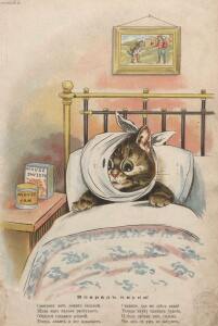 Веселые рассказы про кошачьи проказы 1907 год - 03-YVrpNM-G88.jpg