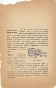 Война и мир в живой природе 1923 года -  и мир в живой природе 1923 года (4).jpg