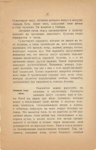 Война и мир в живой природе 1923 года -  и мир в живой природе 1923 года (40).jpg