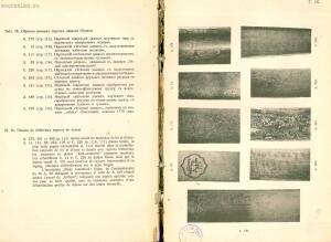 Альбом изображений выдающихся предметов из собрания оружия 1908 года - rsl01003749882_11.jpg