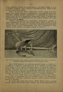 Каталог плугов и других земледельческих орудий 1903-1904 гг. - rsl01006740320_45.jpg