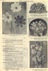 Каталог семян 1927 года - rsl01004914235_46.jpg