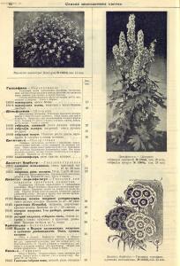 Каталог семян 1927 года - rsl01004914235_68.jpg