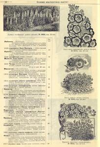Каталог семян 1927 года - rsl01004914235_70.jpg