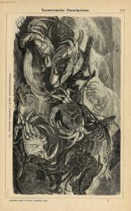 Альбом картин по зоологии низших животных 1904 года - rsl01003722500_117.jpg