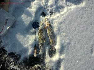 Зимняя рыбалка - 20161031004121.jpg
