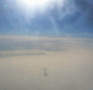 Пассажир самолета заснял странное существо - screenshot_1.png