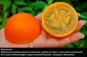 10 самых экзотических фруктов: фото и названия - 09-QxK4ku44sP8.jpg