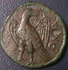 монета пантикапея до 16.2.16 22.00 - DSC_0043-2.jpg