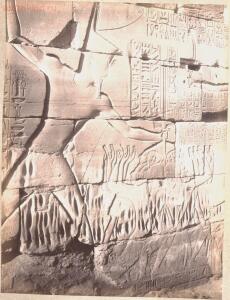 Снимки Египта 1895 года - 0_10a49e_59499847_orig.jpg