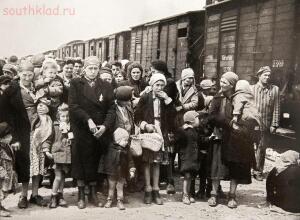 Исчезнувшие лица. Освенцимский альбом. 1944 год - 0_1e14ff_45c4f73c_orig.jpg