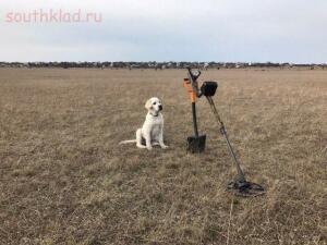 Фото наших домашних питомцев. и не только наших  - IMG_3326.jpg