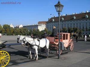 Фиакр - Fiaker_Vienna_October_2006_003.jpg