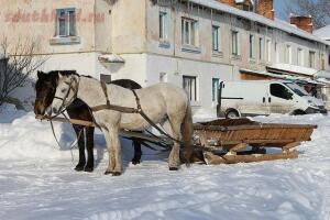 Сани - 640px-Horse-drawn_sleighs_2012_G1.jpg