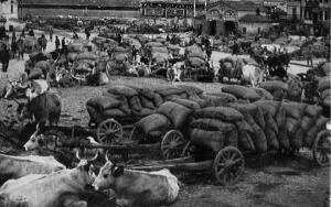 МОЛОДАЯ РОССИЯ ...По страницам National Geographic от 1914 г - 9.jpg