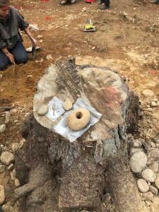 В Карелии найдено поселение эпохи неолита - 153385070411896091.jpg
