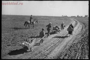 В Кадре Война. Авторская фотография. Олег Борисович Кнорринг - 2.jpg