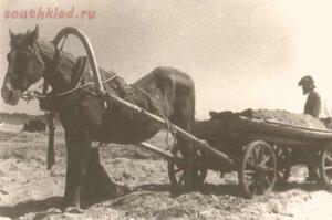 В Кадре Война. Авторская фотография. Александр Сергеевич Дитлов -  возрождается. Посевная 1944г..jpg