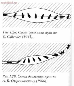 Пуля и плоть – неравное противостояние. - 6.jpg