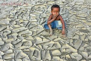 Определены победители фотоконкурса Environmental Photographer of the Year 2018 - IMG_20180926_232750_344.jpg