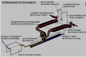 Рождение Тигра - 12.jpg