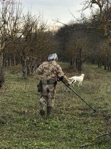 А, поедем-ка Мы покопаем ... 2018год - AAA0ADF0-0E9D-488A-B91F-BA15769E7825.jpg