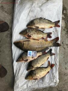 Рыболовный сезон 2019 - S5bUripq_I.jpg