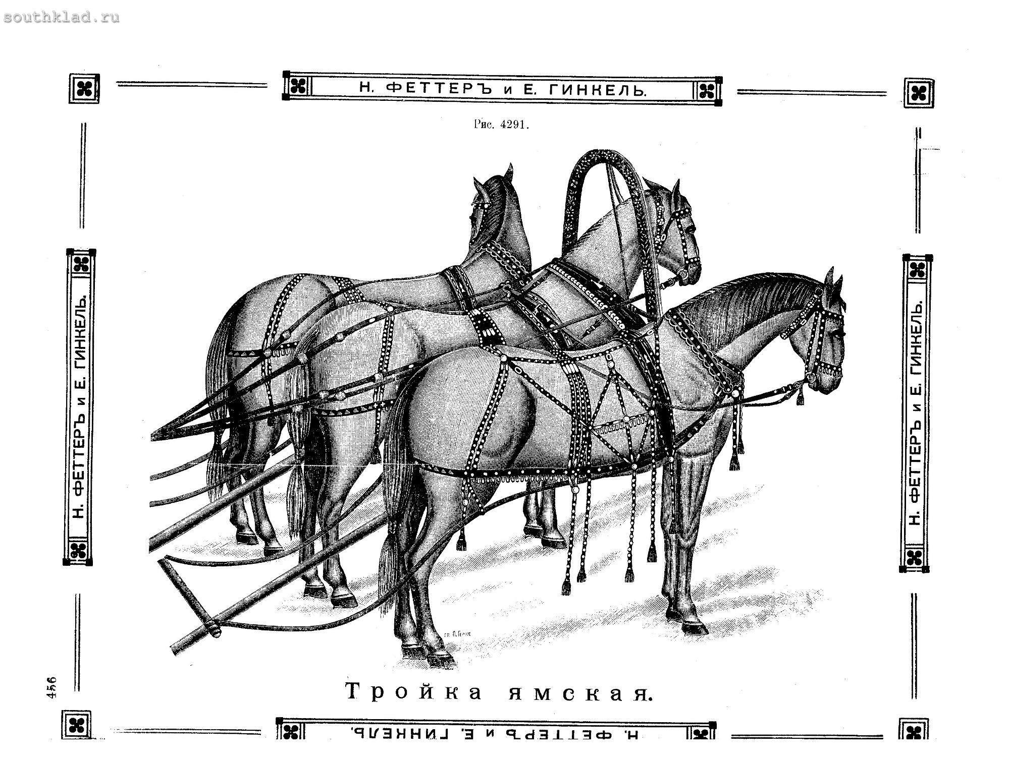 Лошадиные элементы. Упряжь тройки. Сбруя для лошадей схема. Элементы конной упряжи. Элементы конской упряжи.