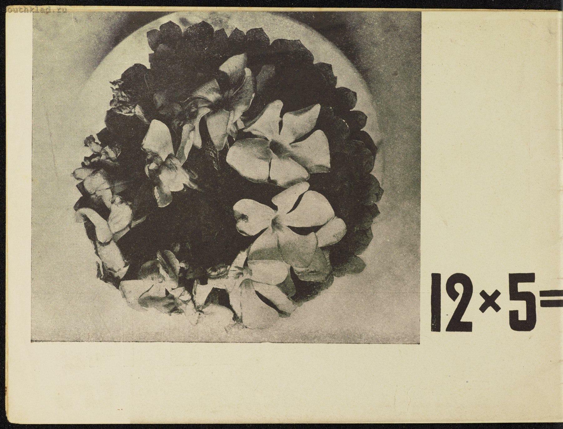 1932 год. Н. А. Грюнталь. Владимир Грюнталь фотограф. Зинаида Асигкритовна Грюнталь (Балина).