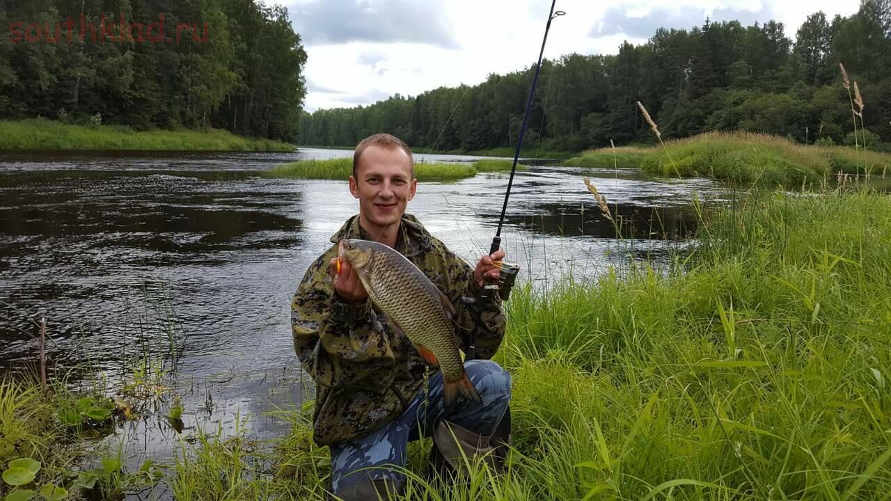 Ловить рыбу в ленинградской области. Река Вруда рыбалка. Рыбалка на Паше. Рыбалка на Луге.