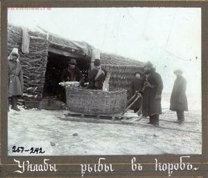 Типы казаков. Сибирские казаки на службе и дома. 1911 год - b75100cc5a33.jpg