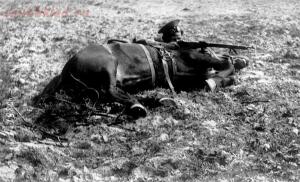 Последняя кавалерийская атака в битве под Кущевкой. - 1401115071_0_ed338_42d464d6_orig.jpg