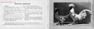 Альбом хозяйственных пород домашней птицы. Настольная книга птицевода 1905 год - c67e3c136395.jpg