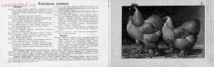 Альбом хозяйственных пород домашней птицы. Настольная книга птицевода 1905 год - b8a4ade35e28.jpg