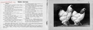 Альбом хозяйственных пород домашней птицы. Настольная книга птицевода 1905 год - f4ae31b9b38b.jpg